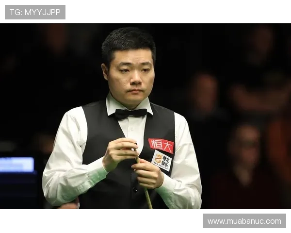 尊龙体育最新地址查询方法,帮助用户轻松找到官方入口确保体育娱乐体验不中断