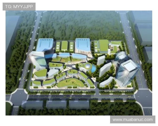 星空体育入口助推智慧体育生态建设实现数字化转型新突破