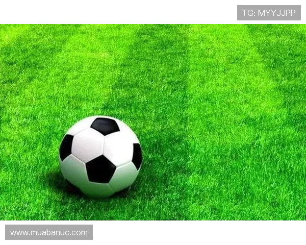 即时比分足球比分球探功能详解，提升你的比赛观察和战术分析能力