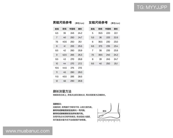 买篮球鞋的网站推荐，提供最新款式和专业尺码指南帮助你轻松选购